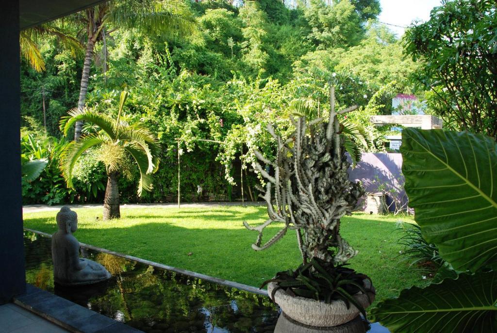 Cafe Alberto B&B Senggigi Esterno foto